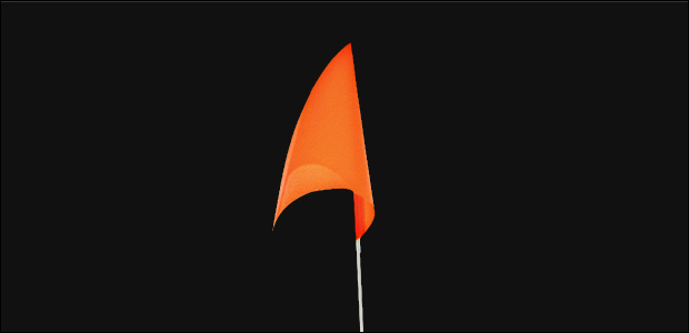 SafetyFlag_2015.jpg